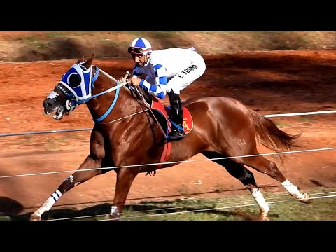 EL JEFE - 1er Finalista Polla Especial de Velocidad - 25/02/2023 - Hipodromo Artigas