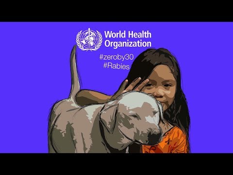 Rabies - our time to act is now - YouTube