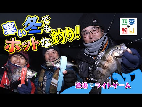 寒い冬でもホットな釣り　漁港でライトゲームを楽しもう！（四季の釣り/2023年1月13日放送）