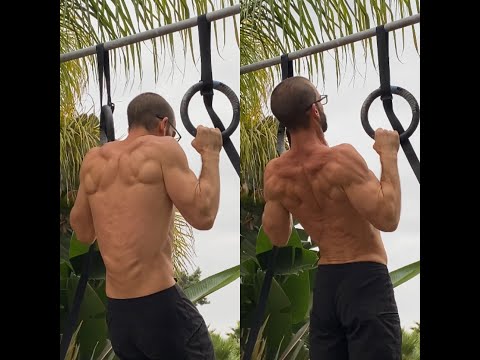 Proper Pull Up Form For Maximum Muscle