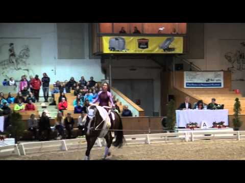 CVI Bern 2015 - Einzel Lengnau SUI