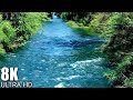 Beautiful Nature Video With Music Download 8K Ultra HD MLchannel