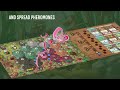 Ants Boardgame Teaser Eng