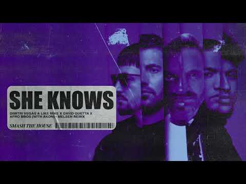 Dimitri Vegas & Like Mike x David Guetta x Afro Bros - She Knows [with Akon] [Melsen Remix]
