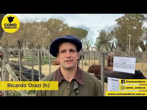 31-08-23 - Ricardo Orazi (h) - Cabaña La Pastoriza - Remate en Tapalqué, Bs.As.