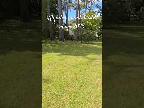 Video de YouTube - Alquiler Anual Casa 4 Dormitorios Playa Mansa, Punta del Este, A pasos del mar