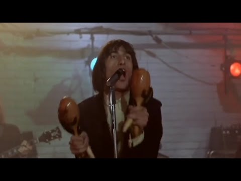 The Chocolate Watchband "Don't Need Your Lovin'" - Album version