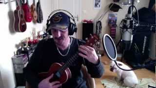 Videio Tuto Ukuleilei"Dans ton sac" de Renaud