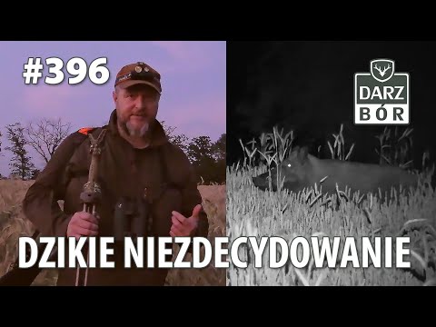 Darz Bór odc 396 - Dzikie Niezdecydowanie