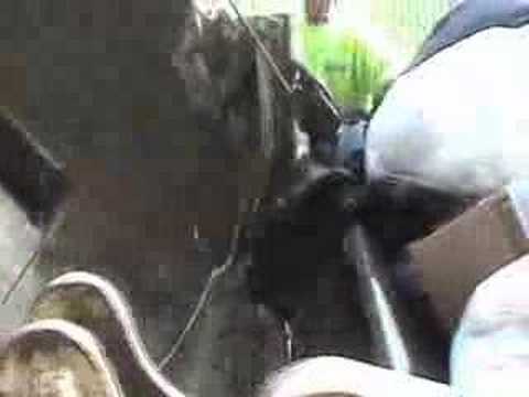 mcneilus rear loader servicing an 8 yd