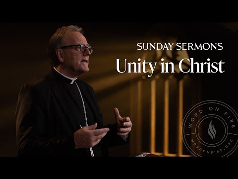 Unity in Christ - Bishop Barron’s Sunday Sermon