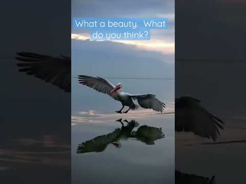 #nature a piece of heaven #shorts