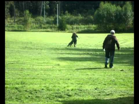 Rosi z Milberku obrana dle ZVV2