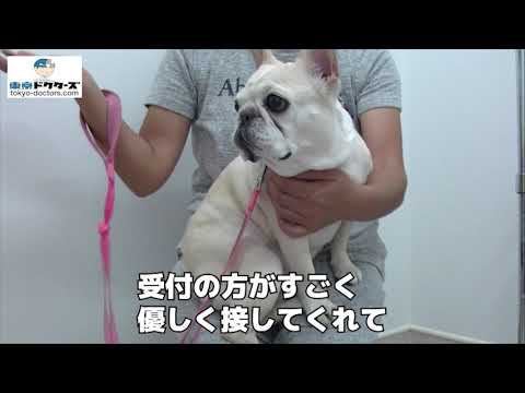 飼い主女性の声