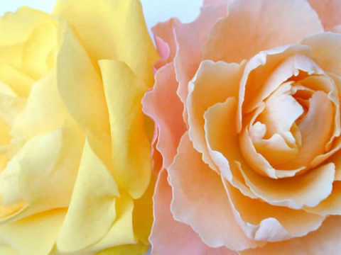 atinge-mi doamen inima