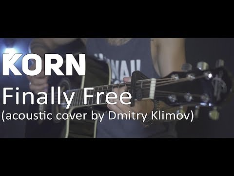 Korn - Finally Free (acoustic cover by Dmitry Klimov)
