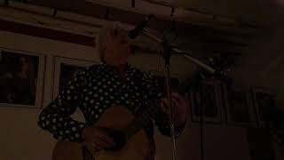 Robyn Hitchcock - Chinese Bones - Freehold NJ, November 25th 2019