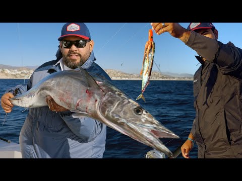 Wahoo Fishing in Cabo San Lucas - Dead Bait & Lures for Success! 🐟🎣