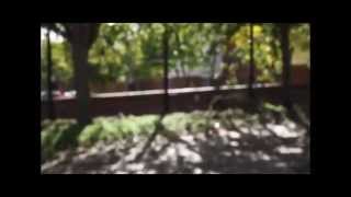 A Walk On The Blind Side