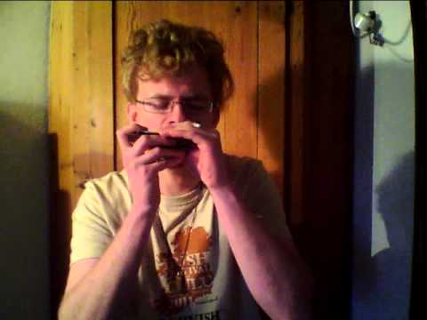 Irish Reels - Harmonica