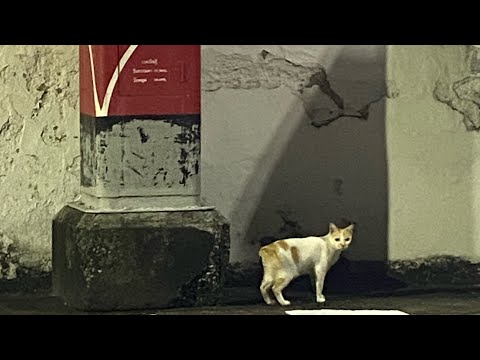 Music Video cover ( Unofficial )วันเวลา : VareeONE X K.Aglet