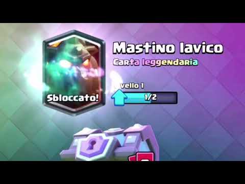 MASTINO LAVICO PER NOI