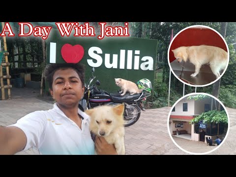 A Day With Jani ❤️ | Pomeranian Dog 🐕| Treatment 💉 |
