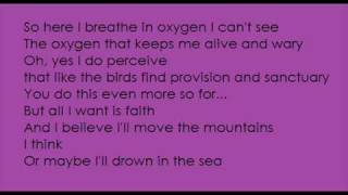 The Rocket Summer- Roses (with Lyrics)