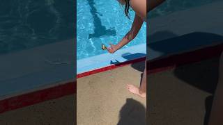 That was my bestie Ari at the pool holding a butterfly we named buttercup