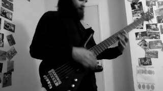 Woodpeckers from Mars- Bass cover by James Rayment