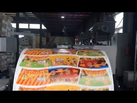 Flexographic Printing Machine Demo