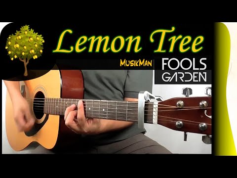 LEMON TREE 🌳🍋 - Fool's Garden / GUITAR Cover / MusikMan N°131