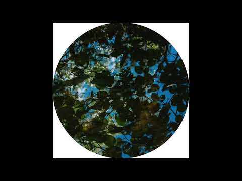 El Choop - Insane Sends (Sven's Angelic Sends Mix) [ECHOCORD087]