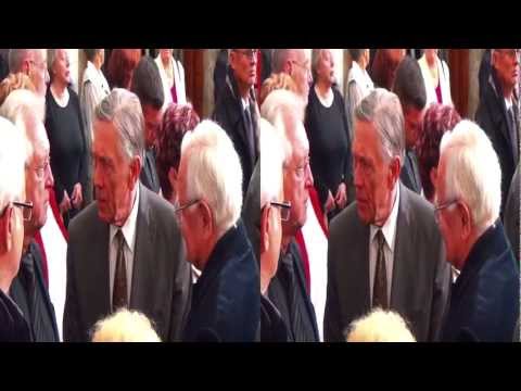 Radoslav Brzobohatý 3D pohřeb