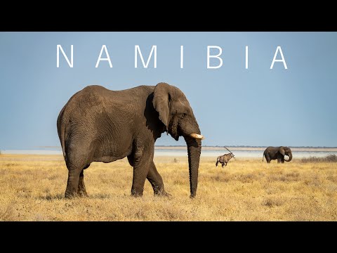 NAMIBIA 2022 | OUR TRIP IN 30 MINUTES | CAPRIVI-STRIP | AMAZING ROADTRIP WITH MAGIC WILDLIFE