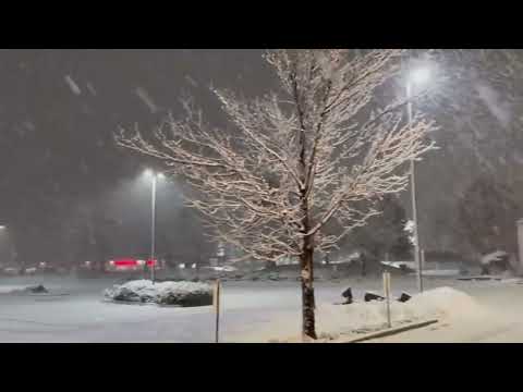 USA At the present time! Weighty Snowfall with Snowstorm in Denver, Colorado