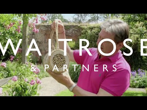 How to Encourage Bees into your Garden with Alan Titchmarsh | Waitrose & Partners Video