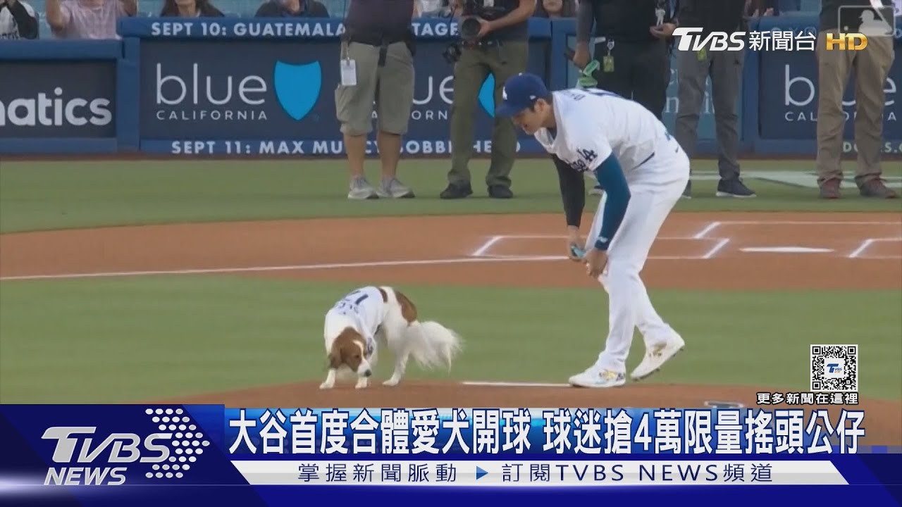大谷首度合體愛犬開球 球迷搶4萬限量搖頭公仔