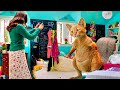 Upside Down Magic Movie Explained In Hindi Urdu 2020 Fantasy Film Summarized In हिन्दी �