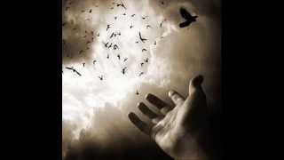 كلمات اغنية يا وطني ابراهيم فهمي