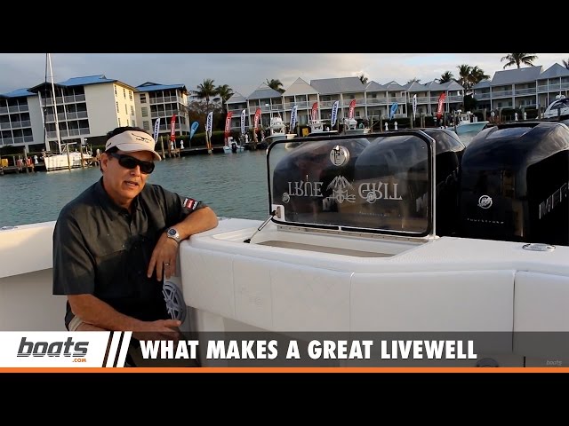 Boating Tips: What Makes a Great Livewell