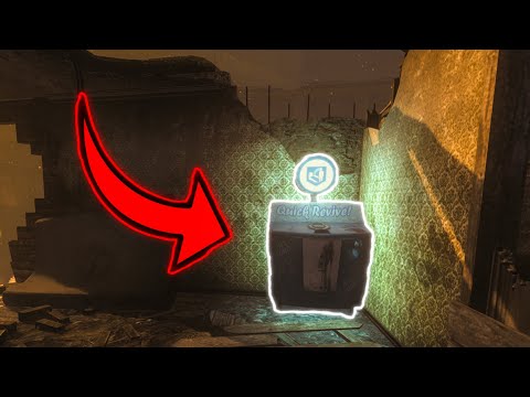 Do YOU remember this Town glitch?? (BLACK OPS 2 OGs ONLY)