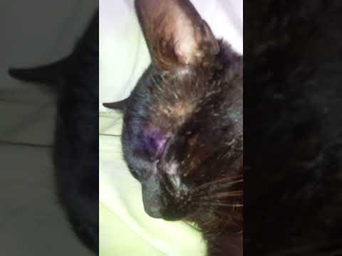 22 de agosto de 2024