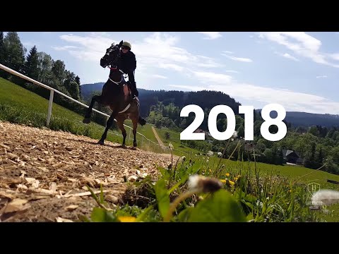 Valencio Holčák - 2018