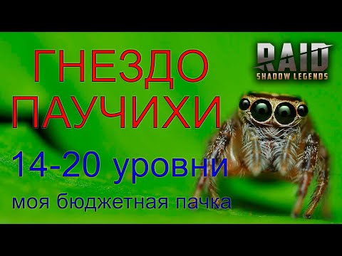 Моя бюджетная пачка на 14-20 паука