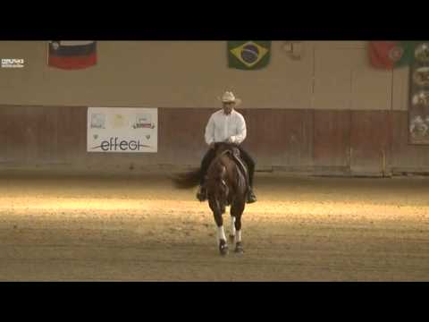 MEACCI ADRIANO-SPARKED IN THE SHADE