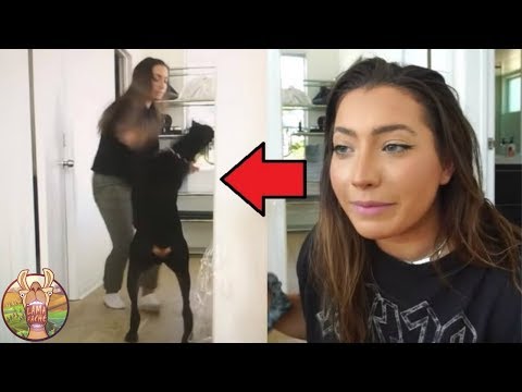 LES YOUTUBEURS QUI SONT ALLÉS TROP LOIN POUR DES VUES