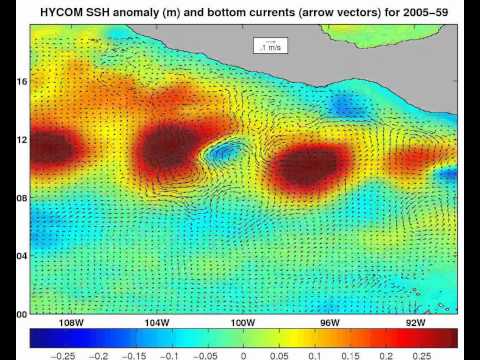 Colonizzare nuovi ambienti marini Movie S2