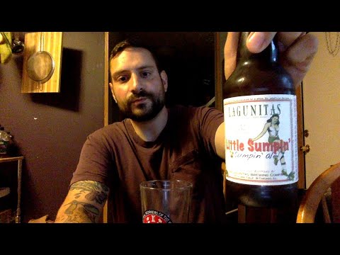 Lagunitas Lil Sumpin' Sumpin' Ale 3 Minute Beer Review