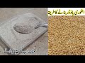 Angoori powder | Samnak recipe | Sprouted Wheat flour | Samnak ka Atta | how to make angoori powder